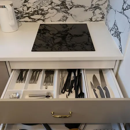 Swidnicka Center With Opera View Properunit Διαμέρισμα Βρότσλαβ